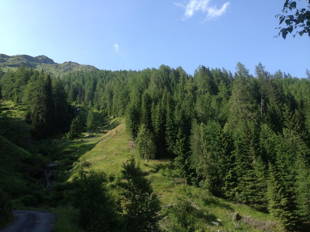 Alpenhotel Badmeister Flattach Buitenkant foto
